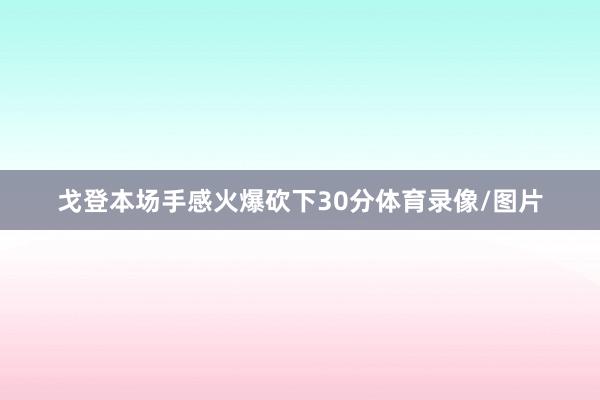 戈登本场手感火爆砍下30分体育录像/图片