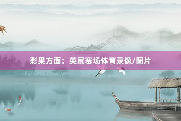 彩果方面：英冠赛场体育录像/图片
