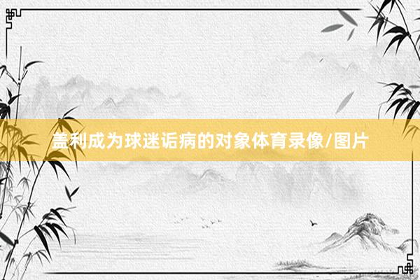 盖利成为球迷诟病的对象体育录像/图片