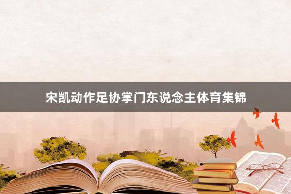 宋凯动作足协掌门东说念主体育集锦