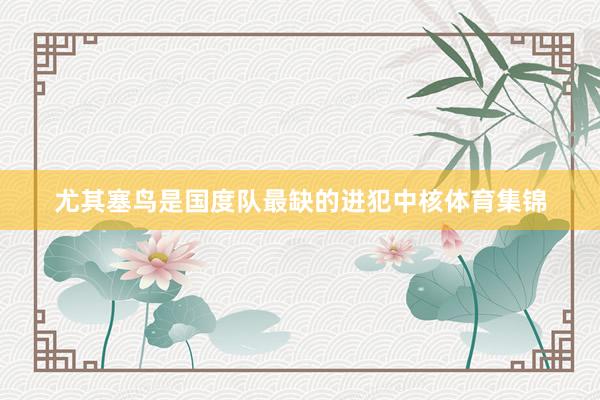 尤其塞鸟是国度队最缺的进犯中核体育集锦