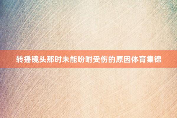 转播镜头那时未能吩咐受伤的原因体育集锦